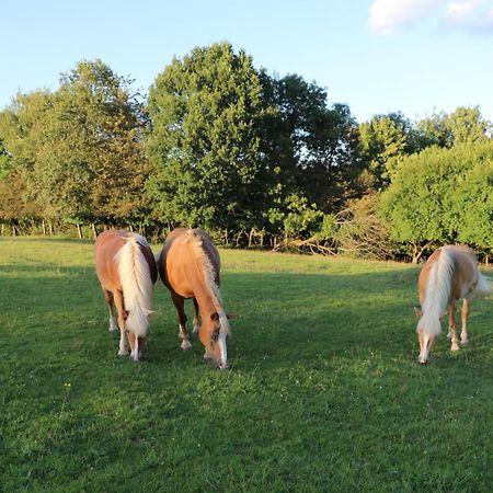 Bed and Breakfast Les Grands Frenes Plaine-de-Walsch Esterno foto